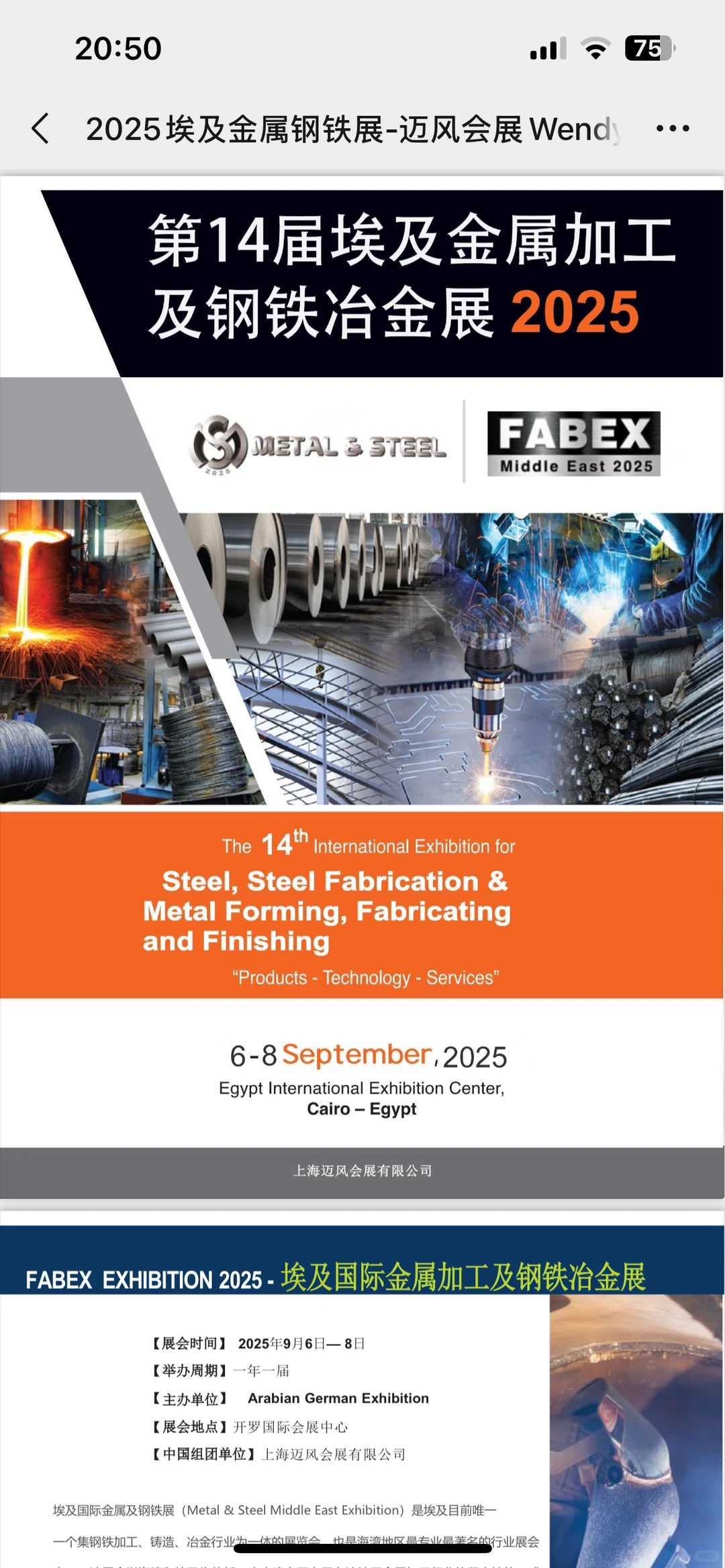 埃及金属加工及钢铁冶金展