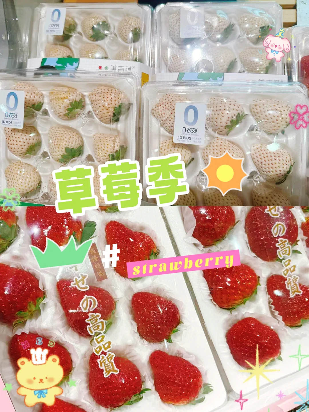 APIO 12月活动日历???