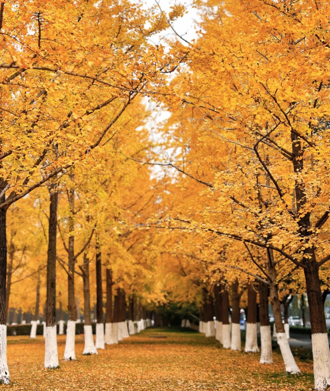 别再在 杭州 虚度光阴 啊啊啊啊啊！！！！！