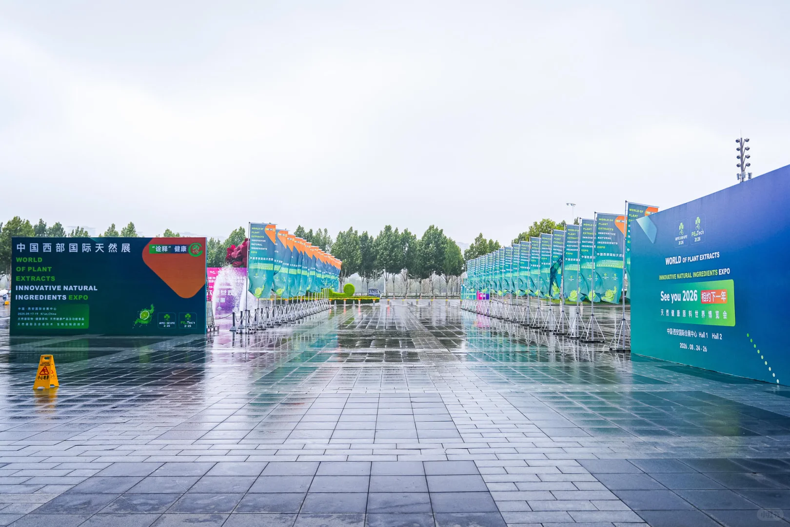 WPE&WHPE的核心采购商