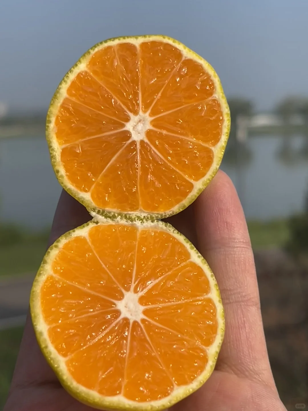 谁来能帮帮这个快被时代淘汰的水果?谁来能