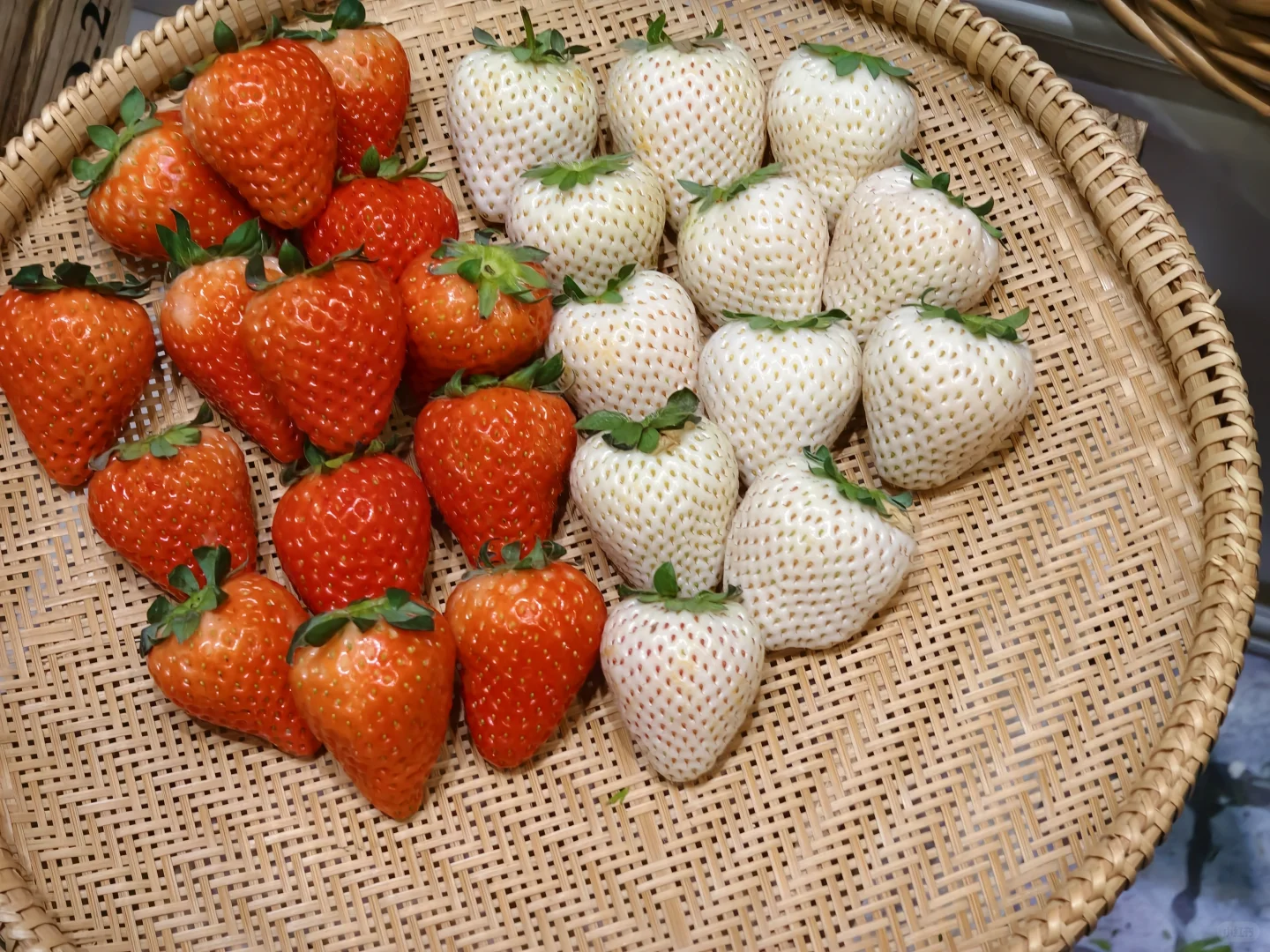 进博会第三天观展/薅羊毛/剁手攻略