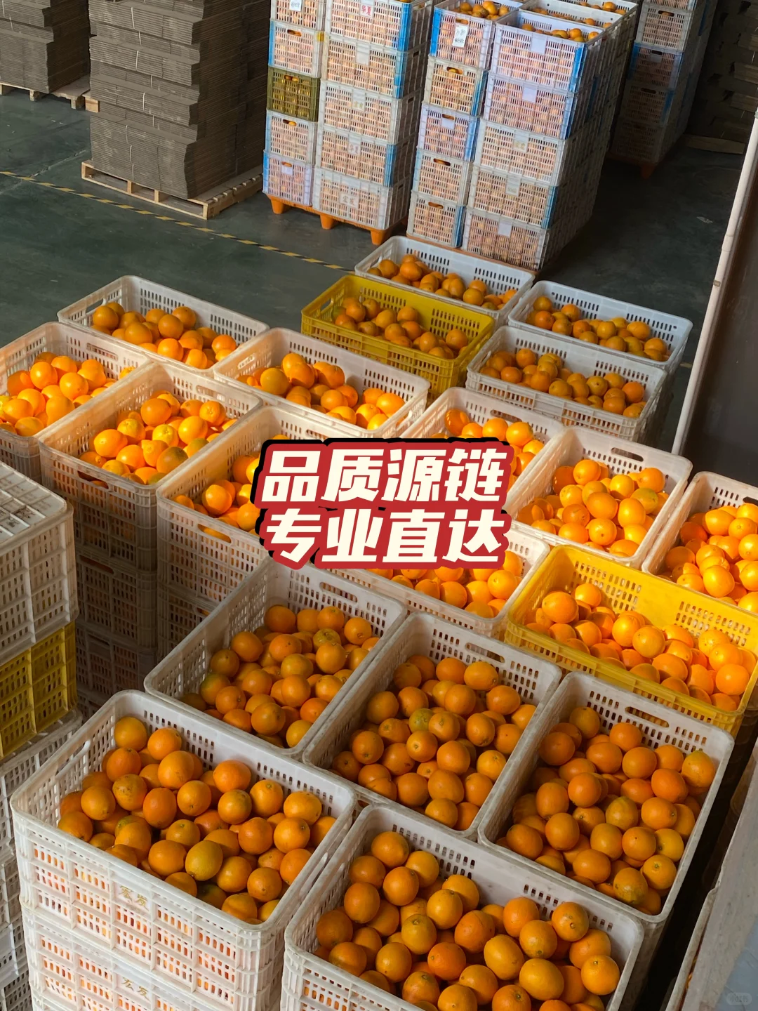 品质源链 · 专业直达