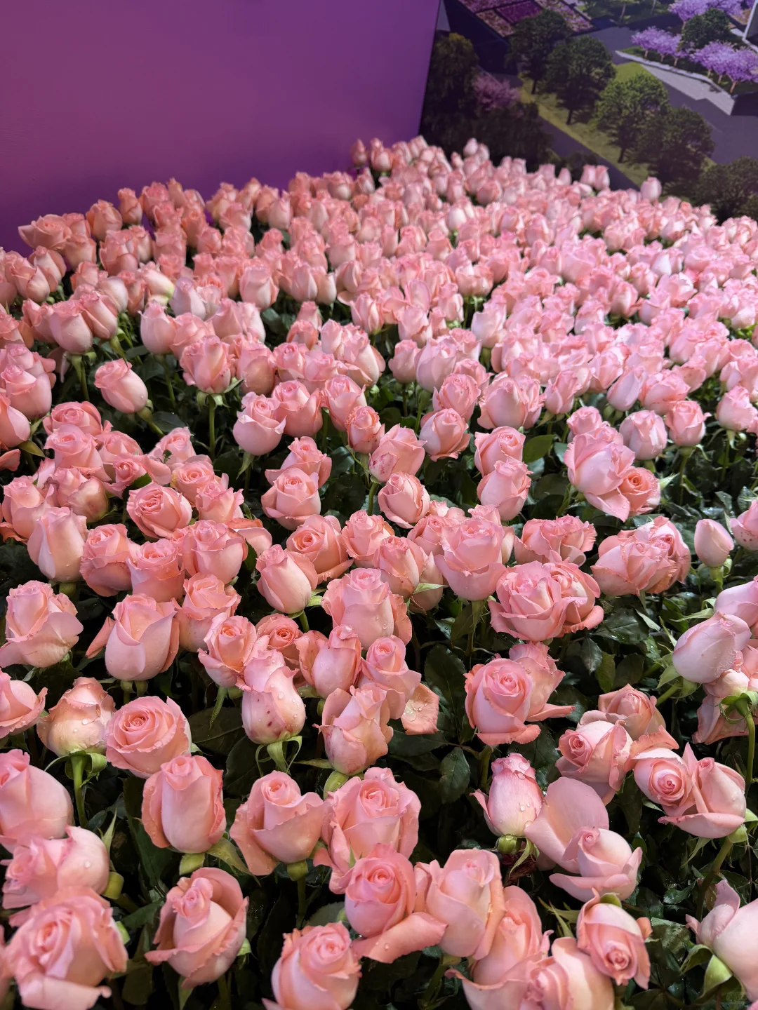 展会日常-广州国际美妆周