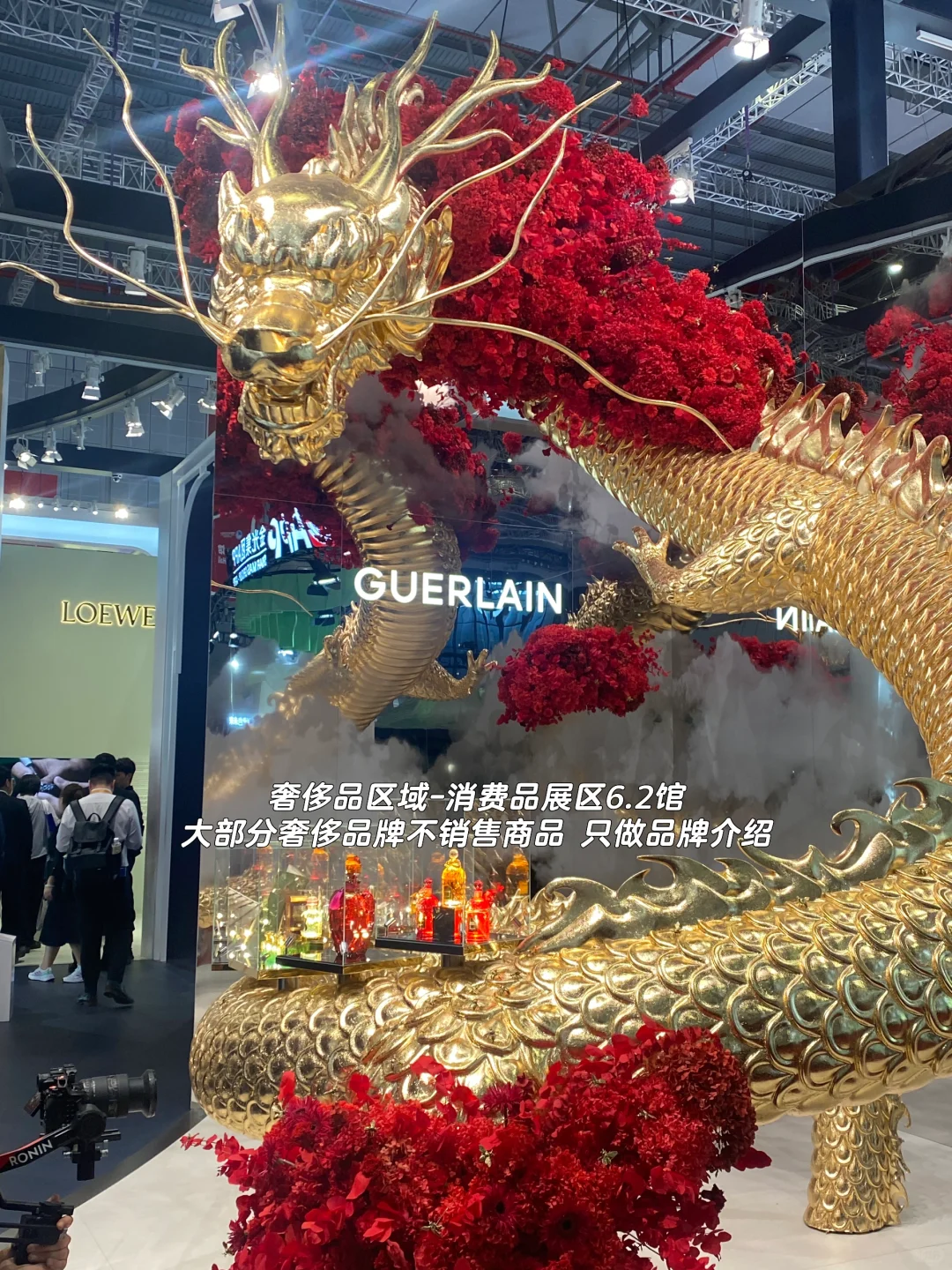 浓缩世界精华的2024进博会 逛点啥