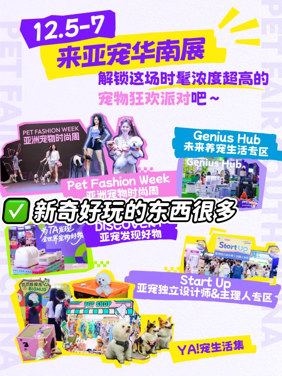 ?揪20位ee一起带毛孩子逛亚宠华南展～