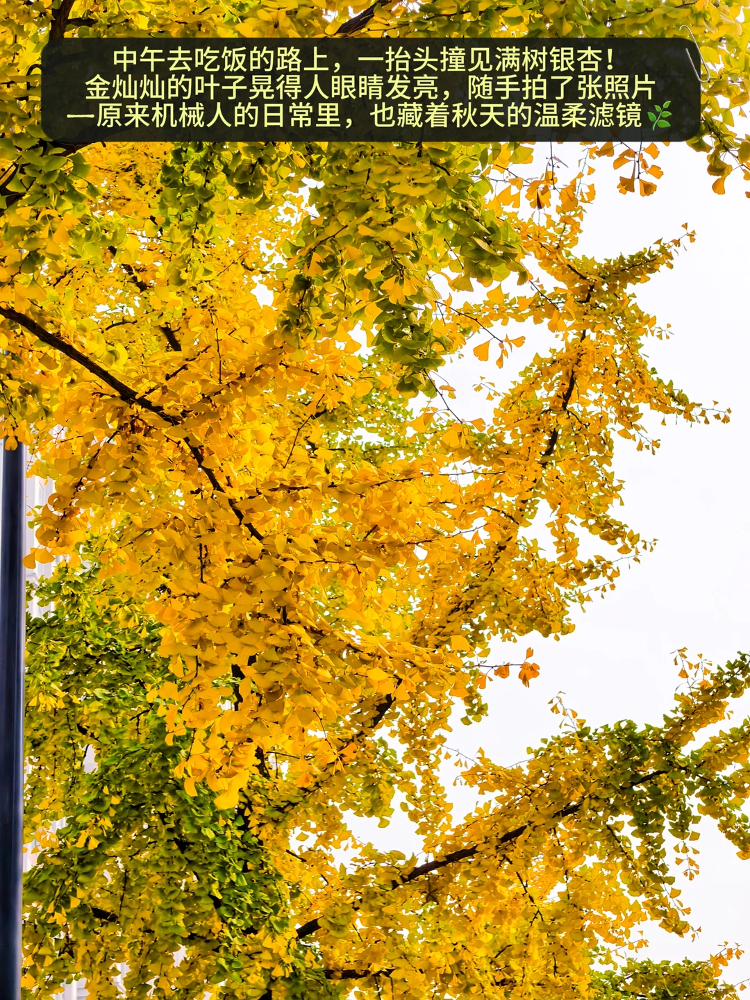 00后女机械工程师｜开启职场＋副业双副本