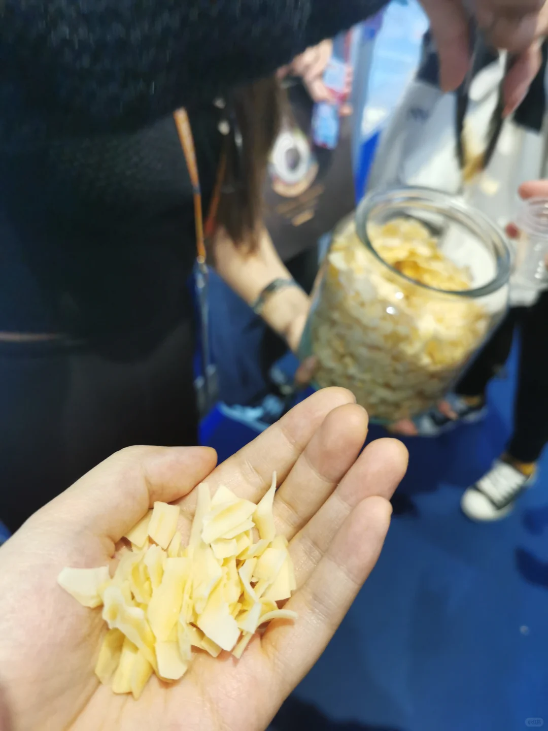 好累啊，进博会走2万步路，巧克力吃到撑