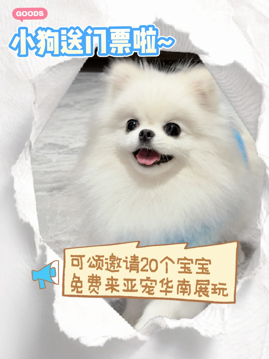 可颂在亚宠华南展等你面基?