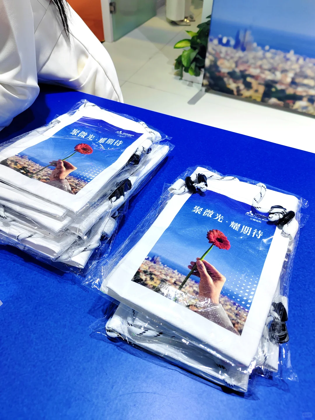 11.7进博会“战绩”分享（附打卡攻略）