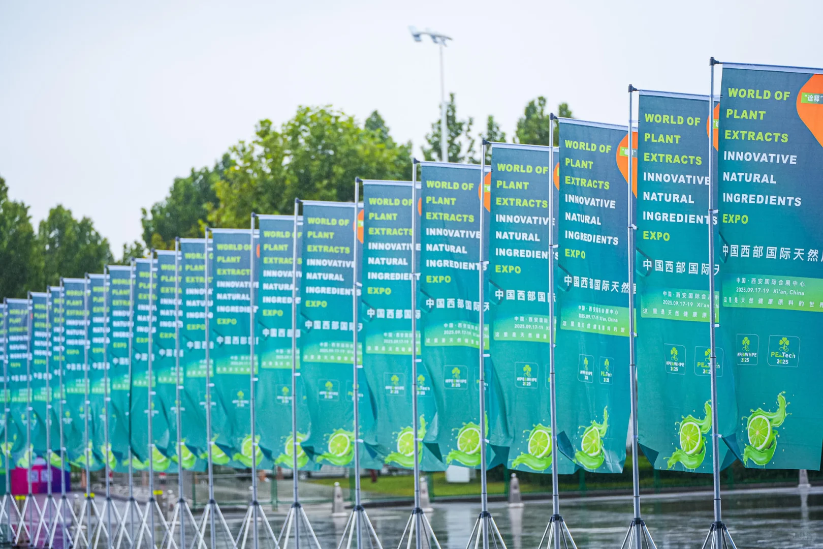 WPE&WHPE的核心采购商