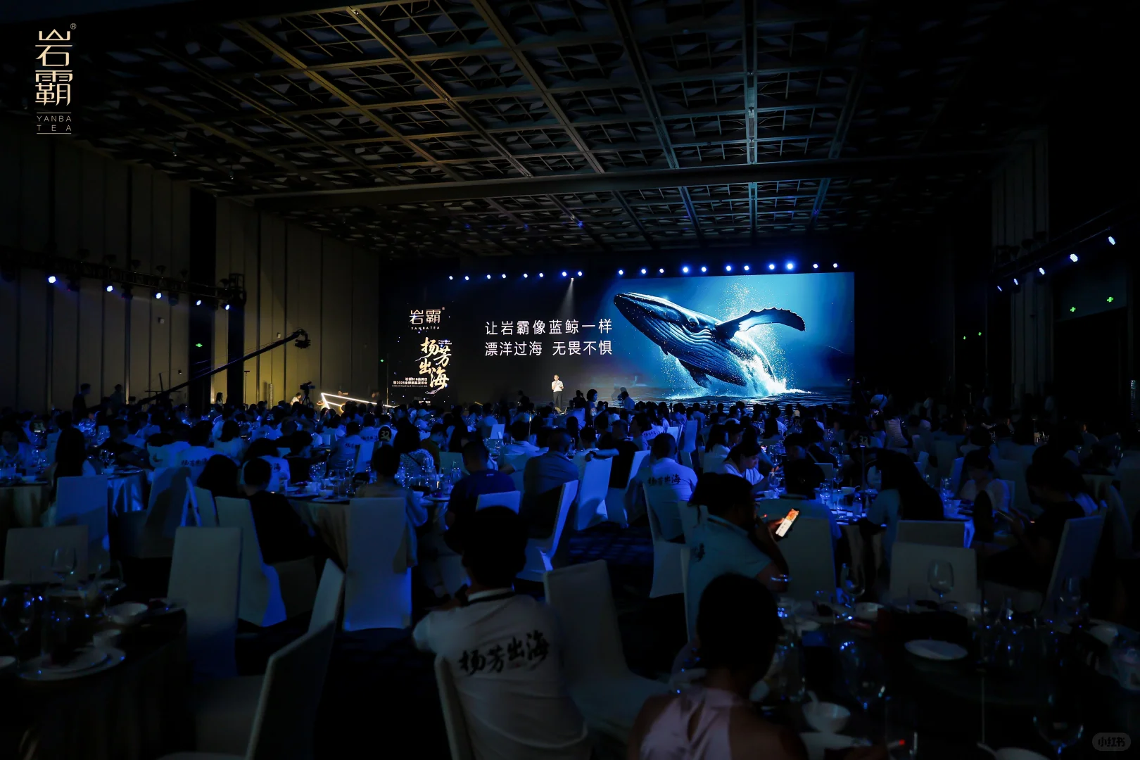 品牌活动/全球新品发布会/活动人的日常