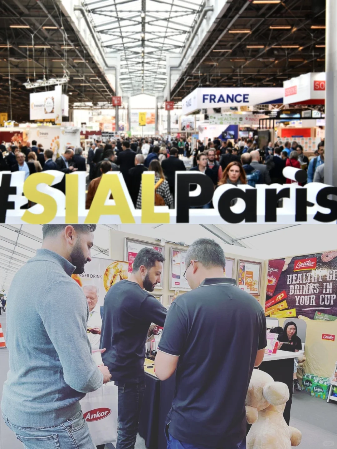 ? | 【Lipatea乐宝茶】SIAL Paris展会