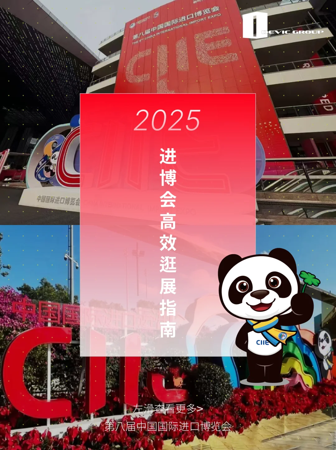 懒人包｜2025进博会高效逛展指南！?