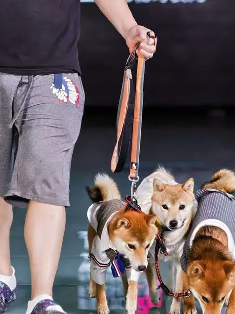 宠粉福利?晒图+留言，送亚宠深圳门票?