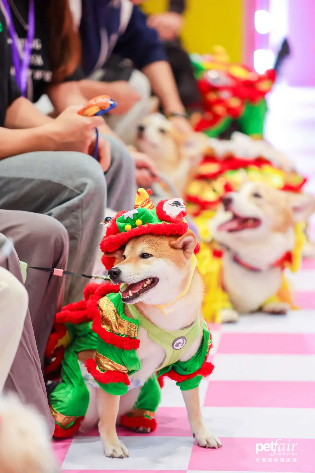 风靡宠物界的亚宠华南展门票，你pick✅10仔送