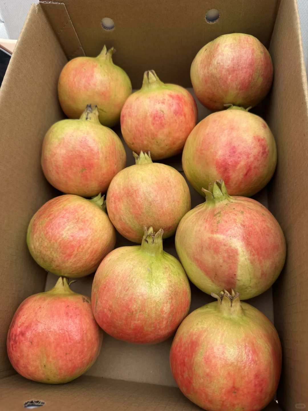 姐妹们给我地址，我给你们寄，不要油费！