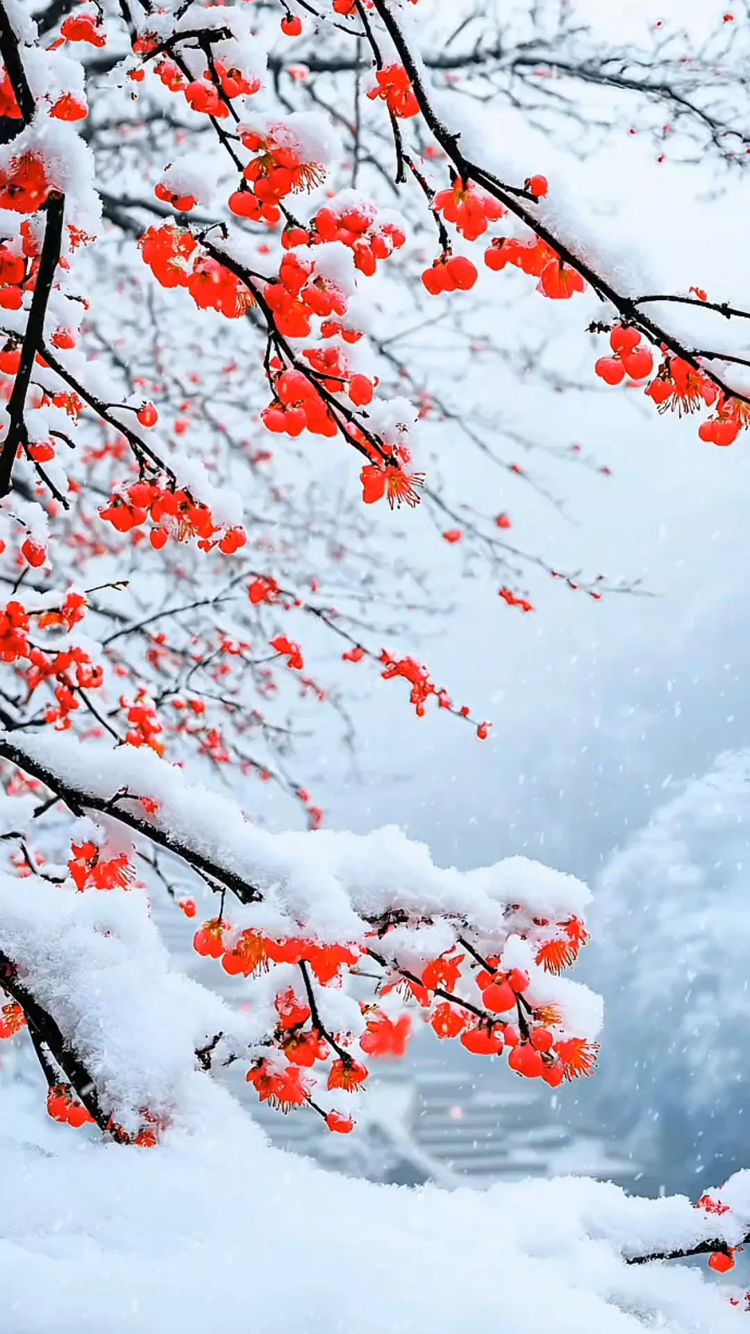 超详细的招投标采购工作流程,请收藏！