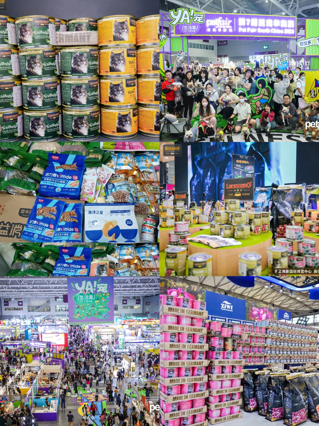 社牛叽叽喳喳喊你免费逛亚宠华南展啦！