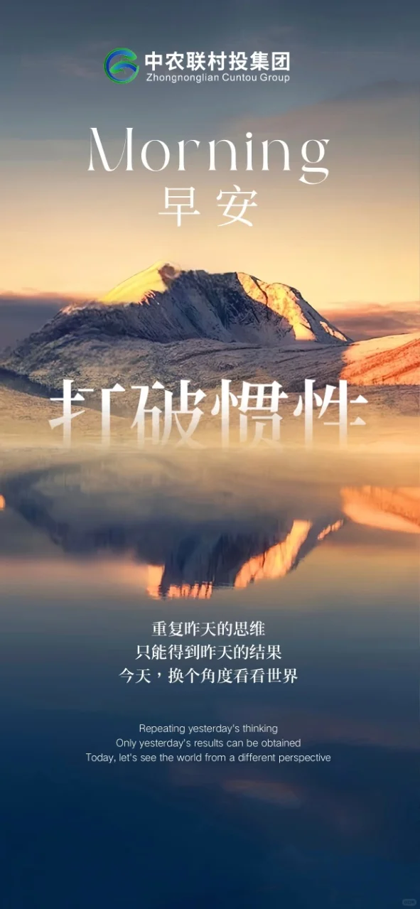 中农联村投集团