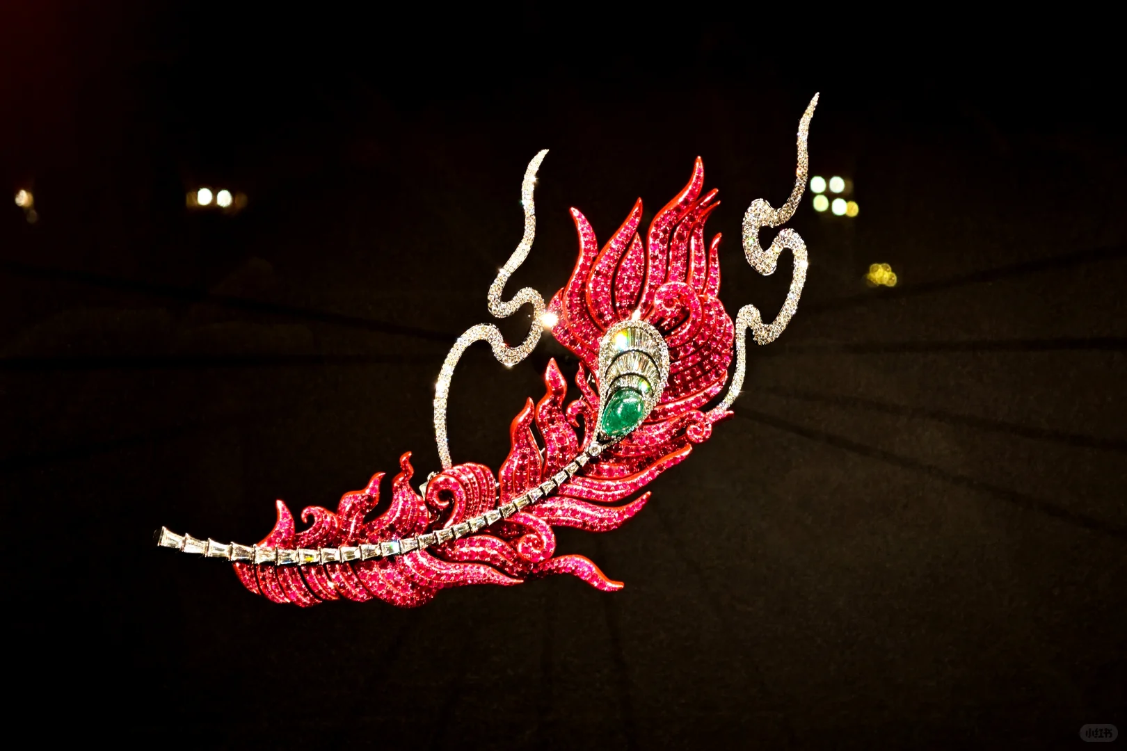 2025进博会之旅结束，回济