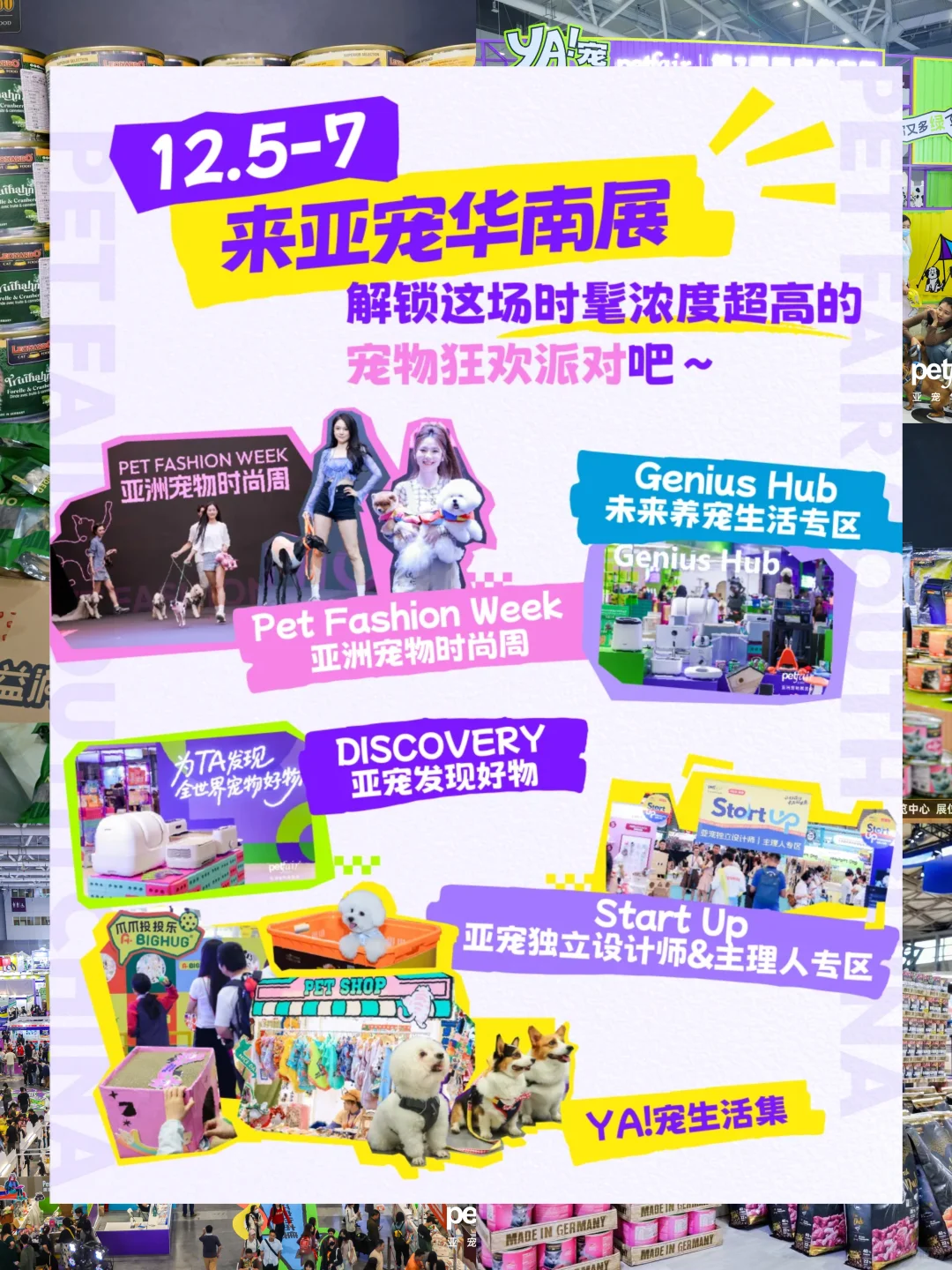 社牛叽叽喳喳喊你免费逛亚宠华南展啦！