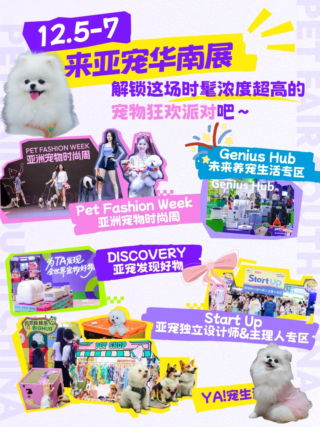 可颂在亚宠华南展等你面基?