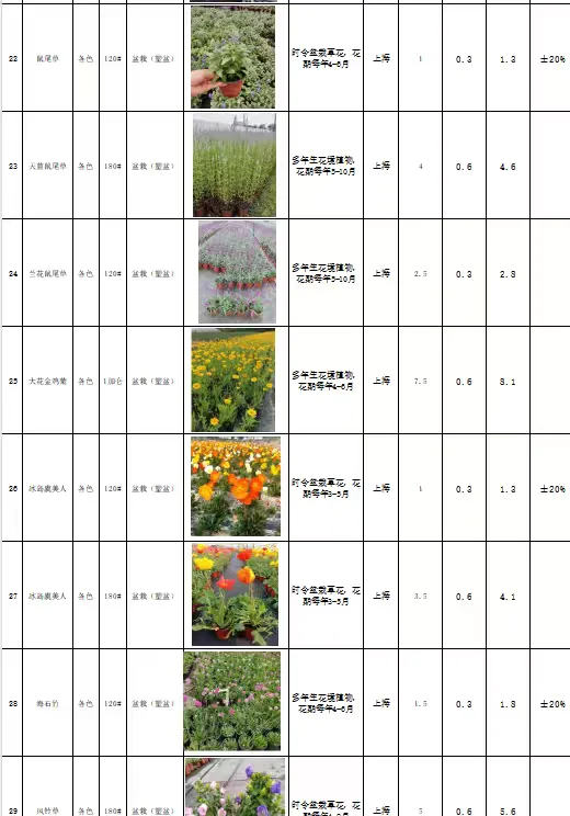 花境植物规格、颜色、花期、价格一览表