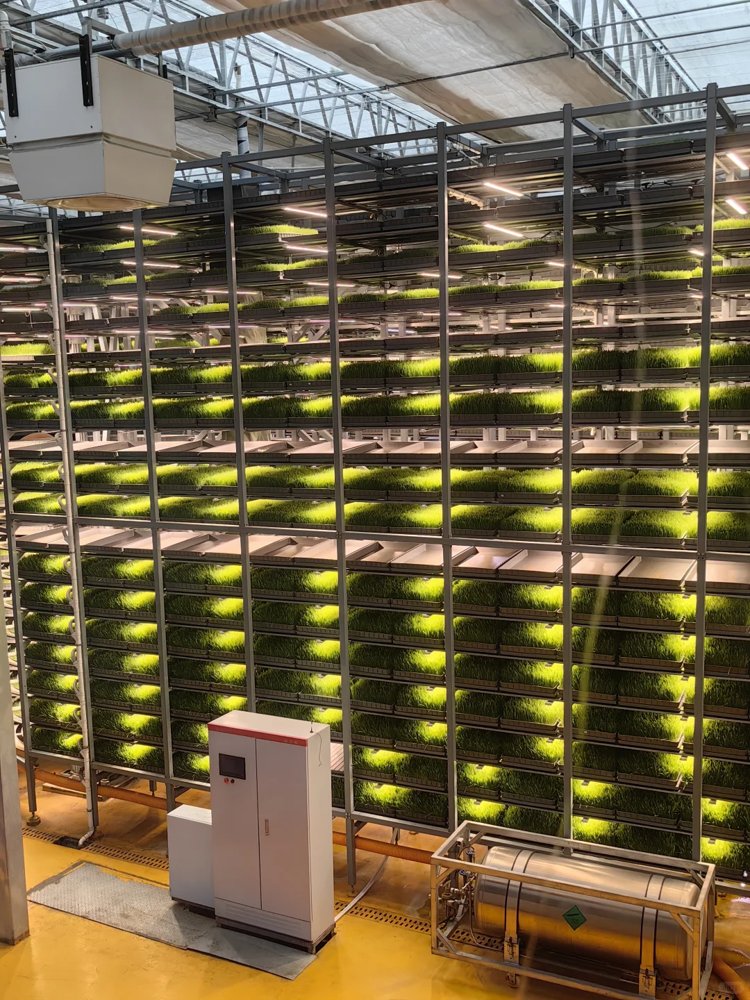 参观内蒙古自治区盛健羊乳集团