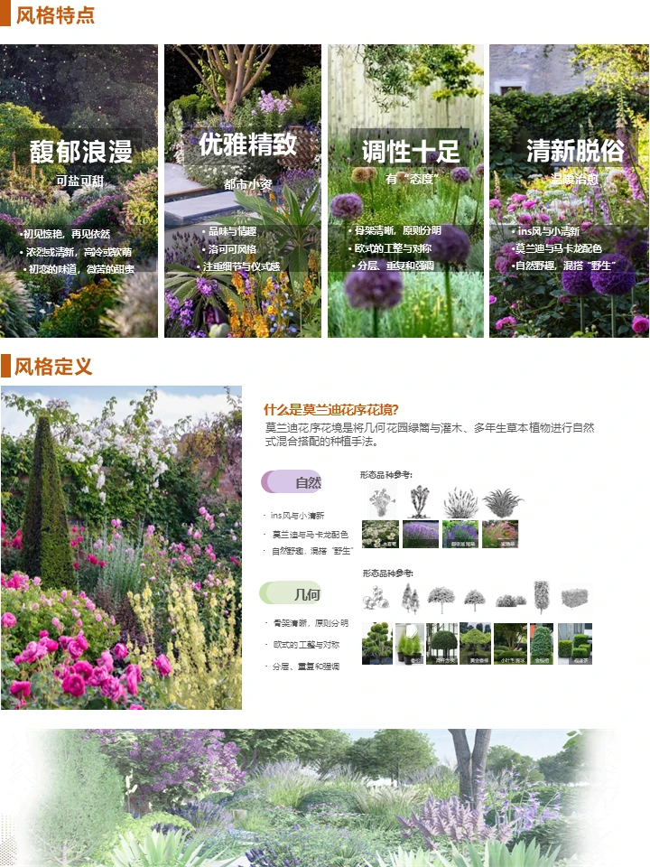 长效蓝紫花镜搭配干货！附带案例及苗木表