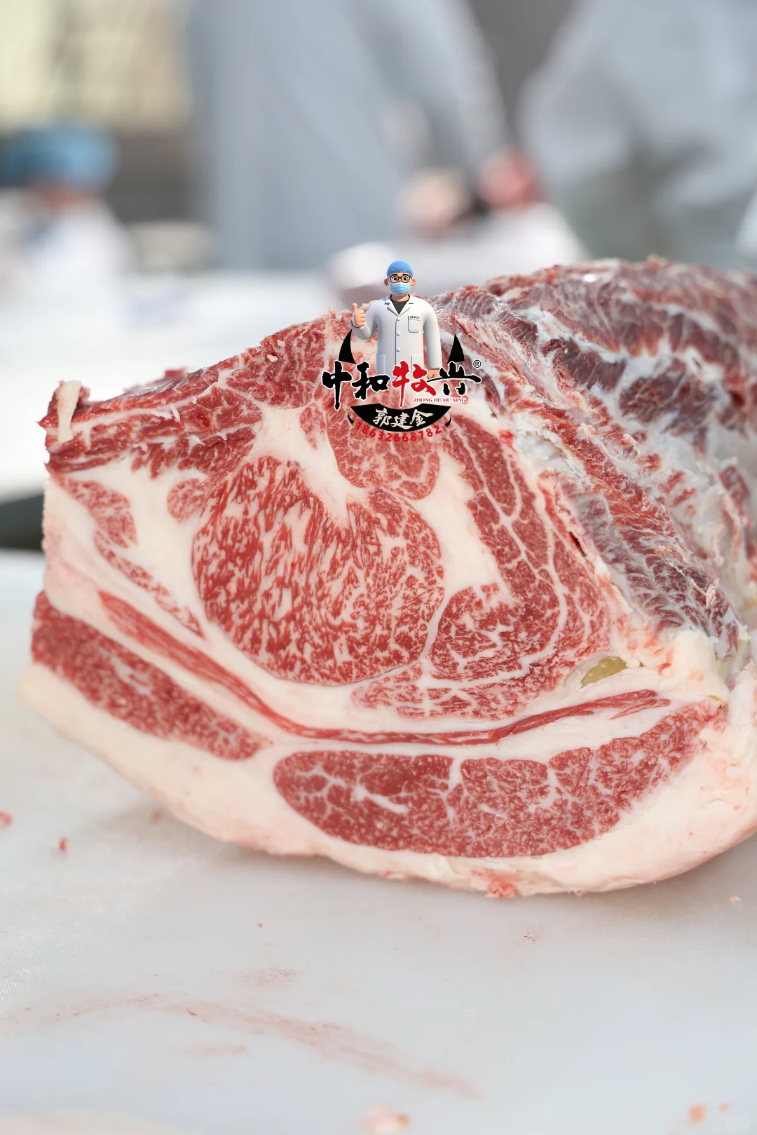 中和牧兴国产和牛分割实拍！