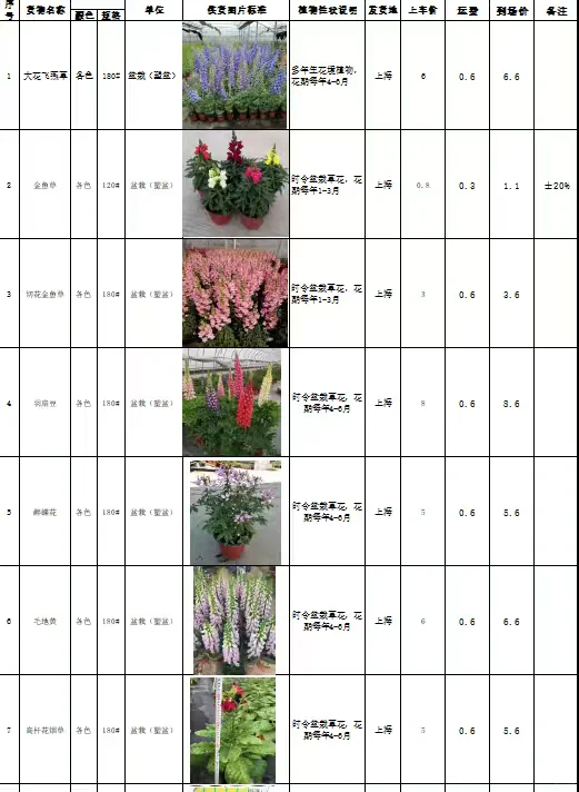 花境植物规格、颜色、花期、价格一览表