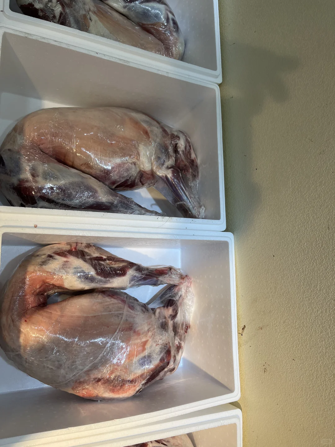 奶香味的冰碴驹俐羊最后一天发货