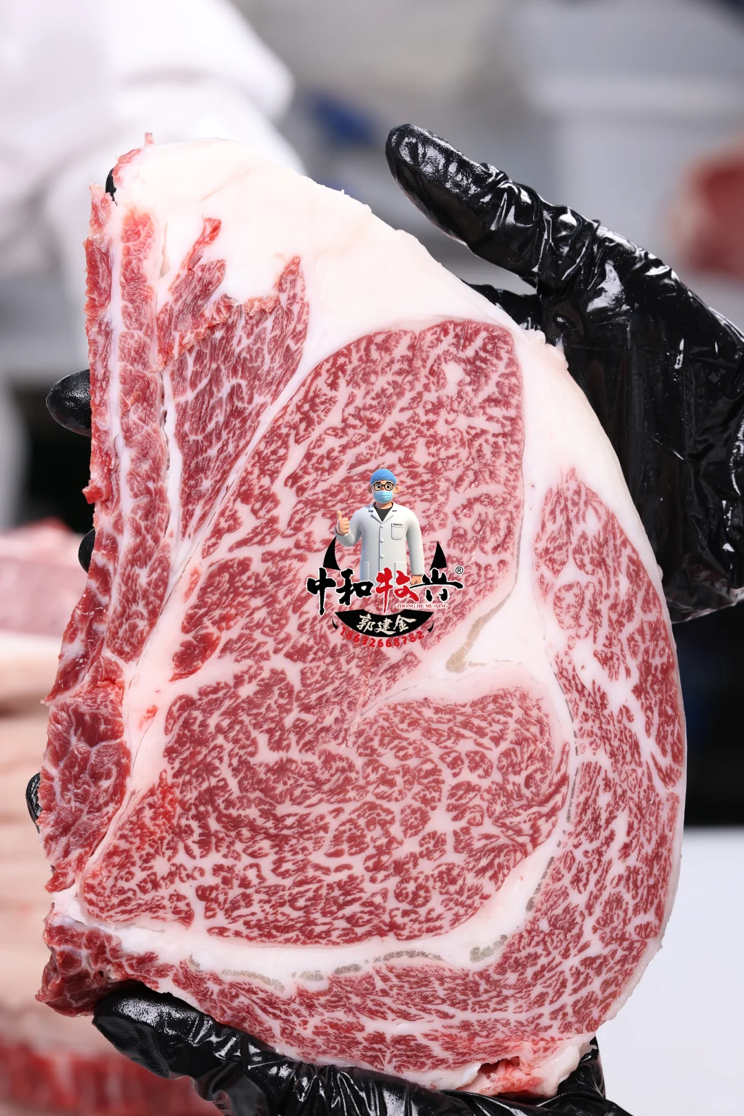 中和牧兴国产和牛分割实拍！