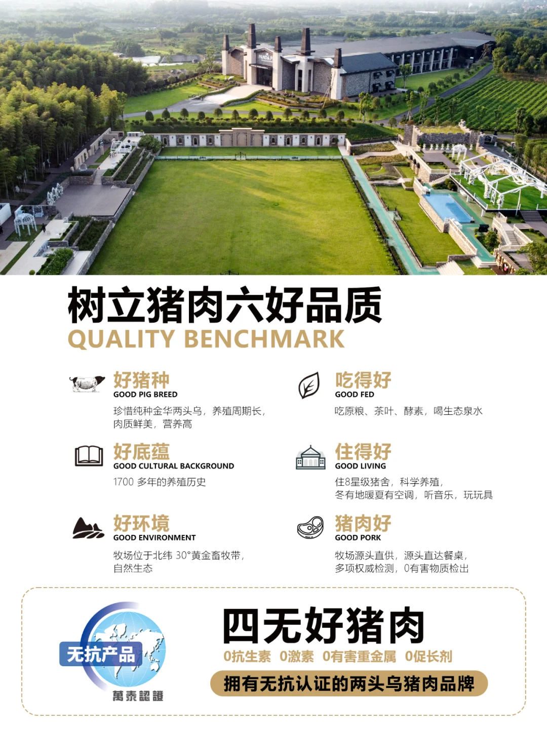 熊猫猪猪金华两头乌除了贵没毛病❗