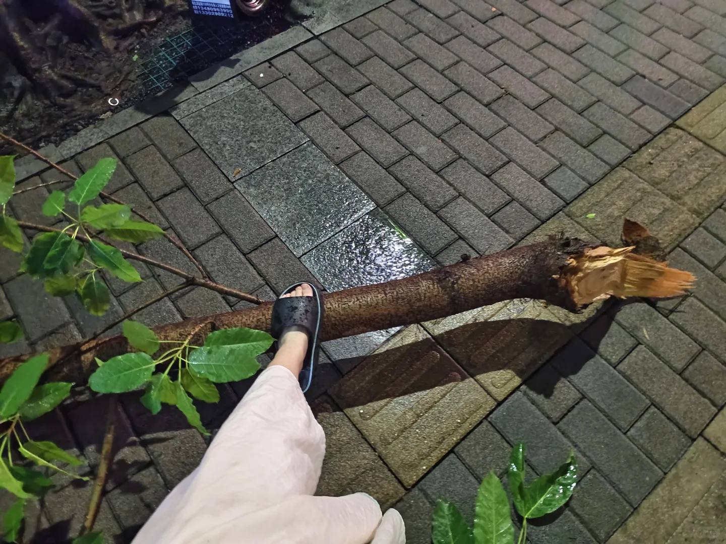 下雨差点在医院门口被砸死