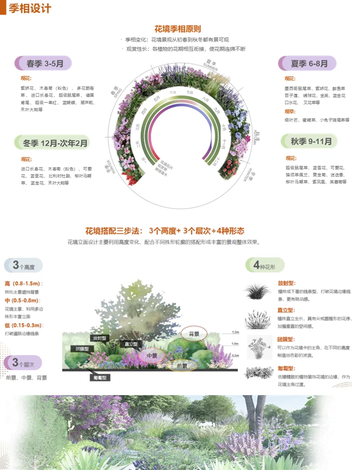 长效蓝紫花镜搭配干货！附带案例及苗木表