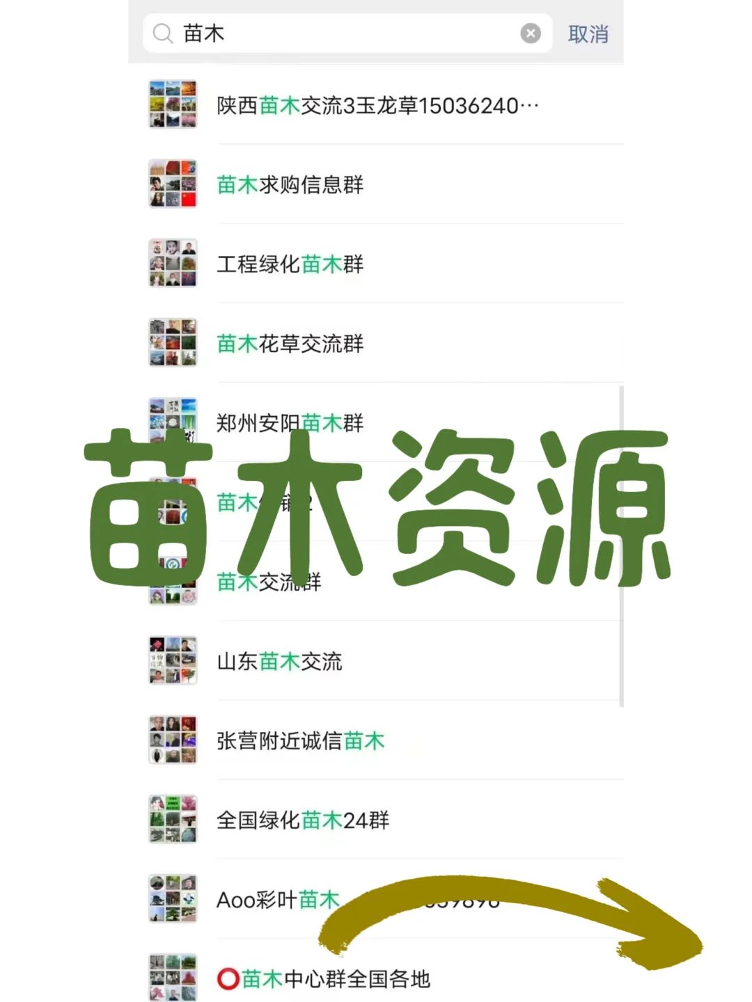 苗木资源群，绿化工程必备！?