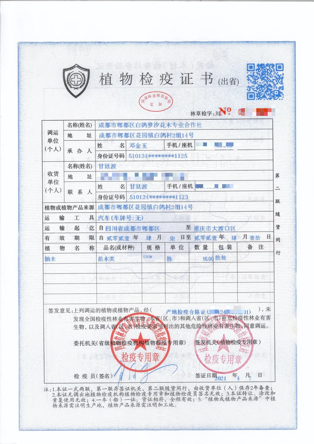 绿化苗木检疫证长这样?