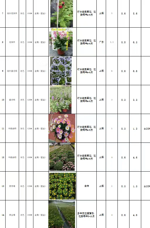 花境植物规格、颜色、花期、价格一览表
