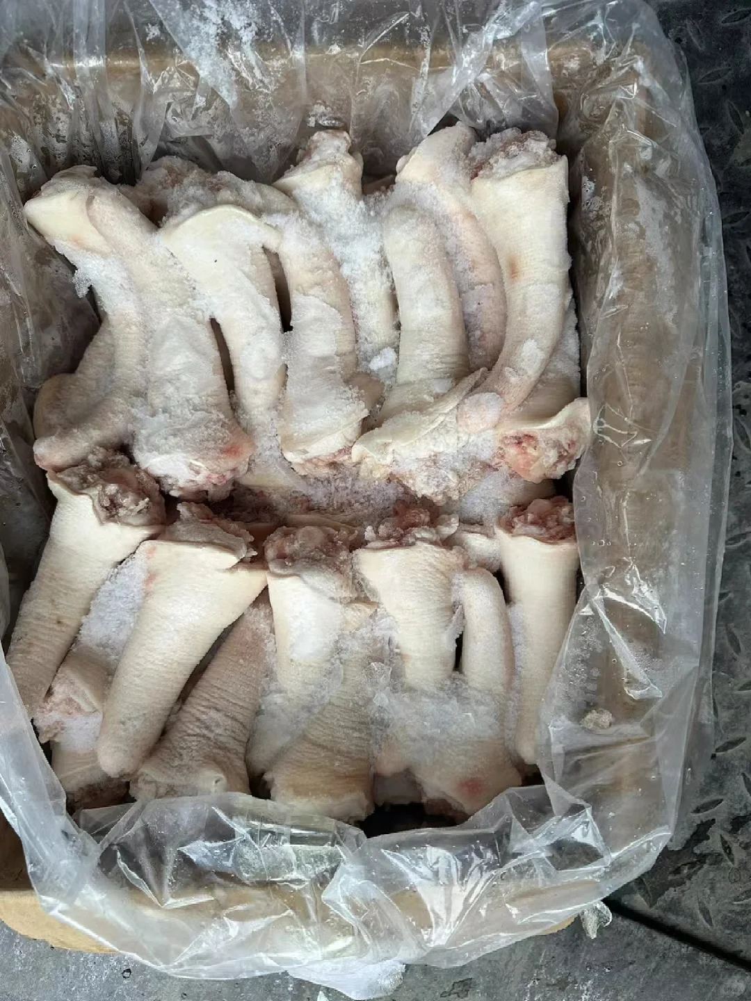 母猪精短尾❗❗❗