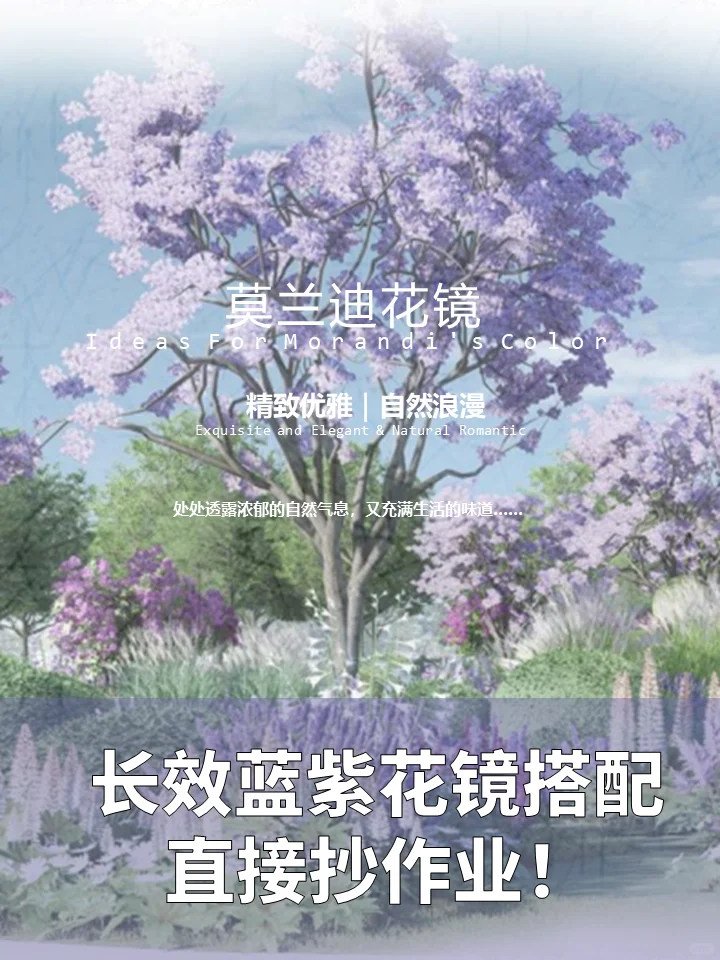 长效蓝紫花镜搭配干货！附带案例及苗木表