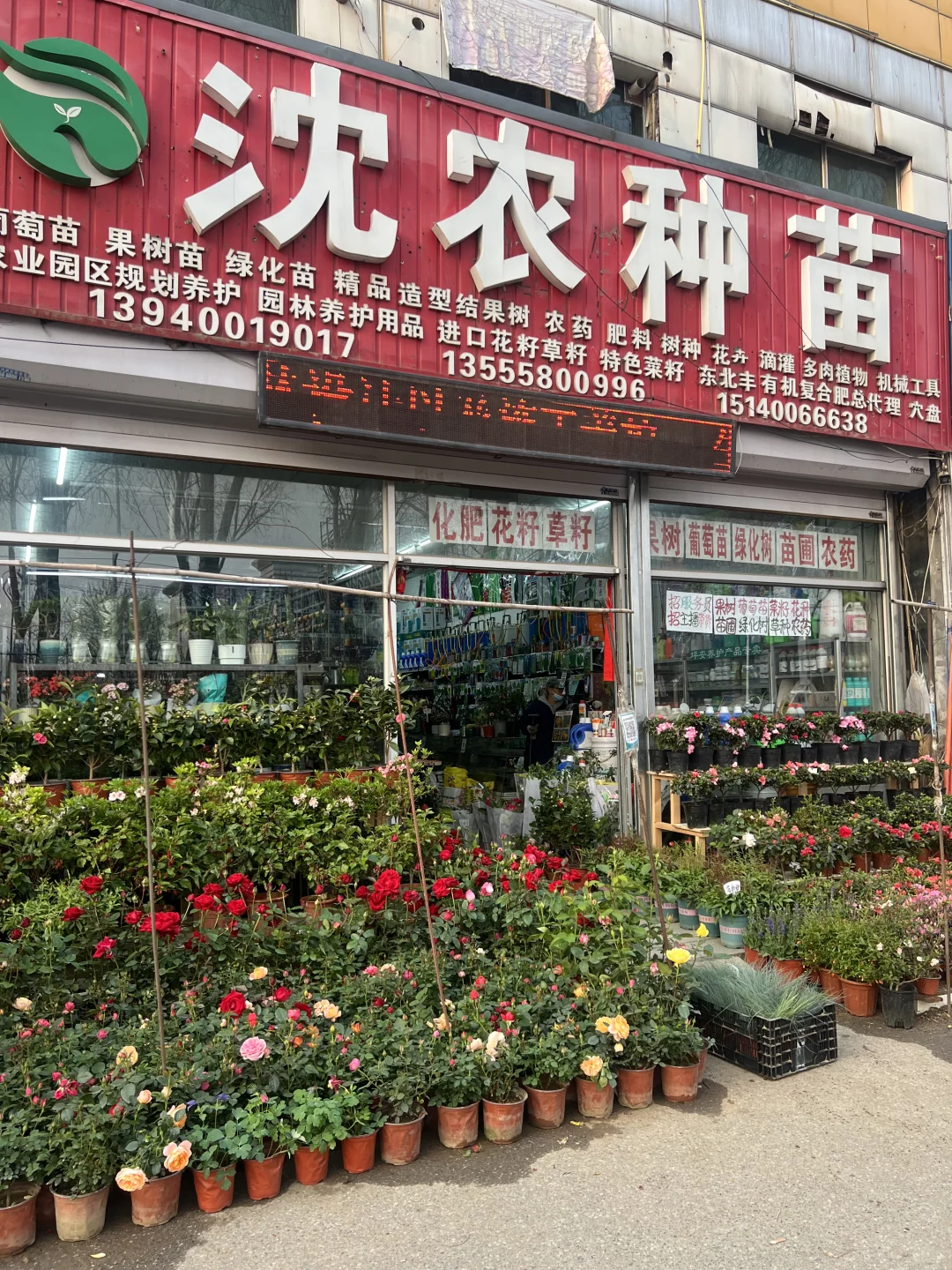 来农大看看种子和苗