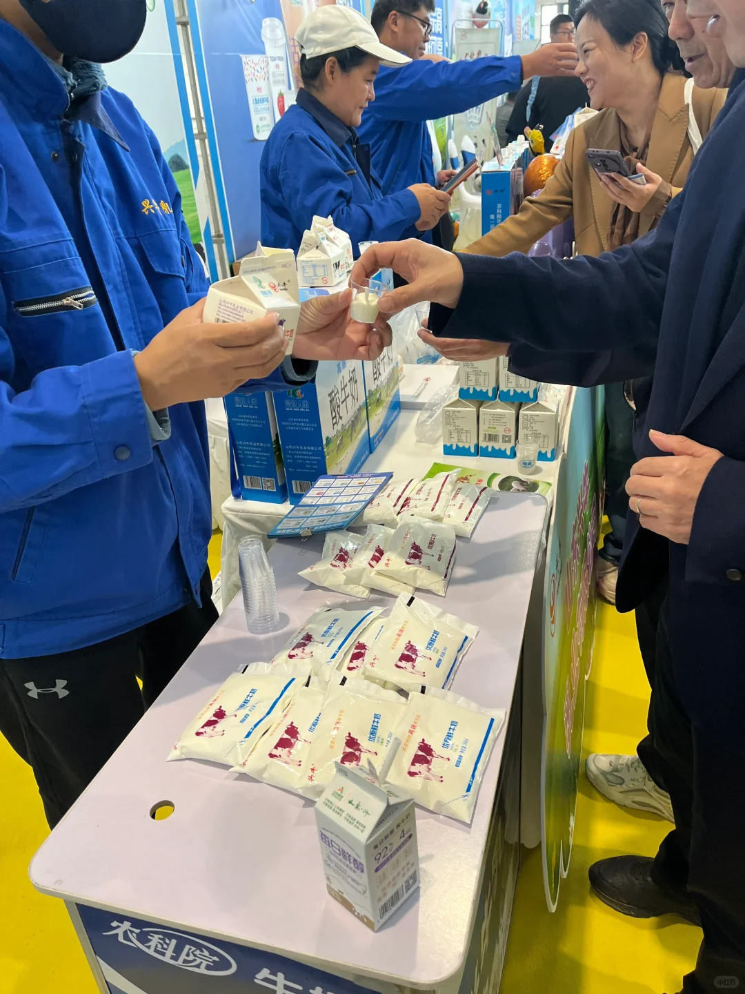 山东畜牧博览会，在现场~