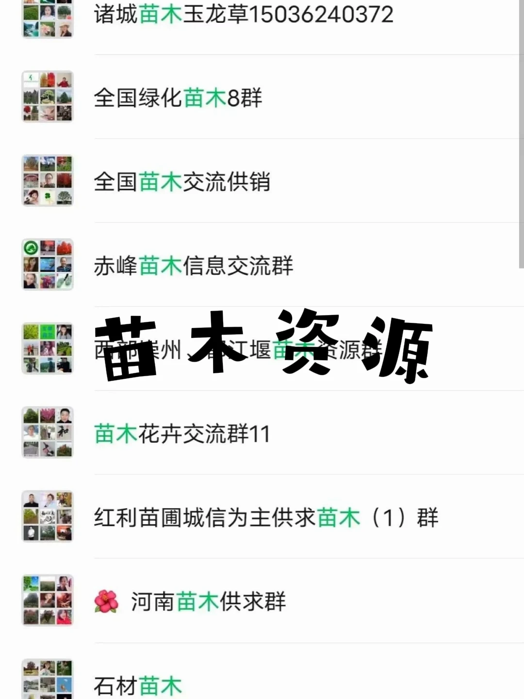 ?苗木人必看！超全资源群速来集合~