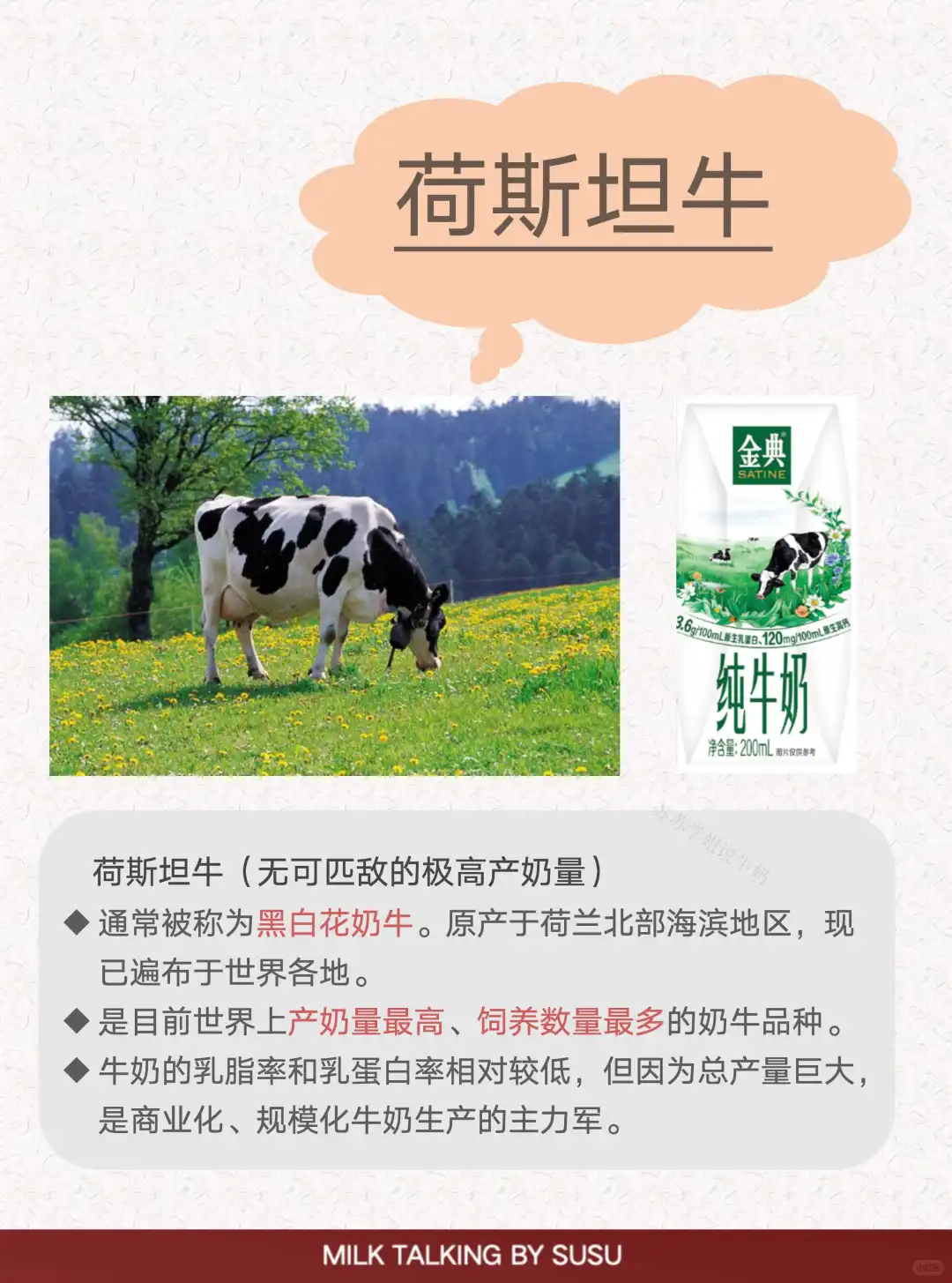 揭秘4️⃣种常见奶牛?｜世界上不止一种奶牛‼️