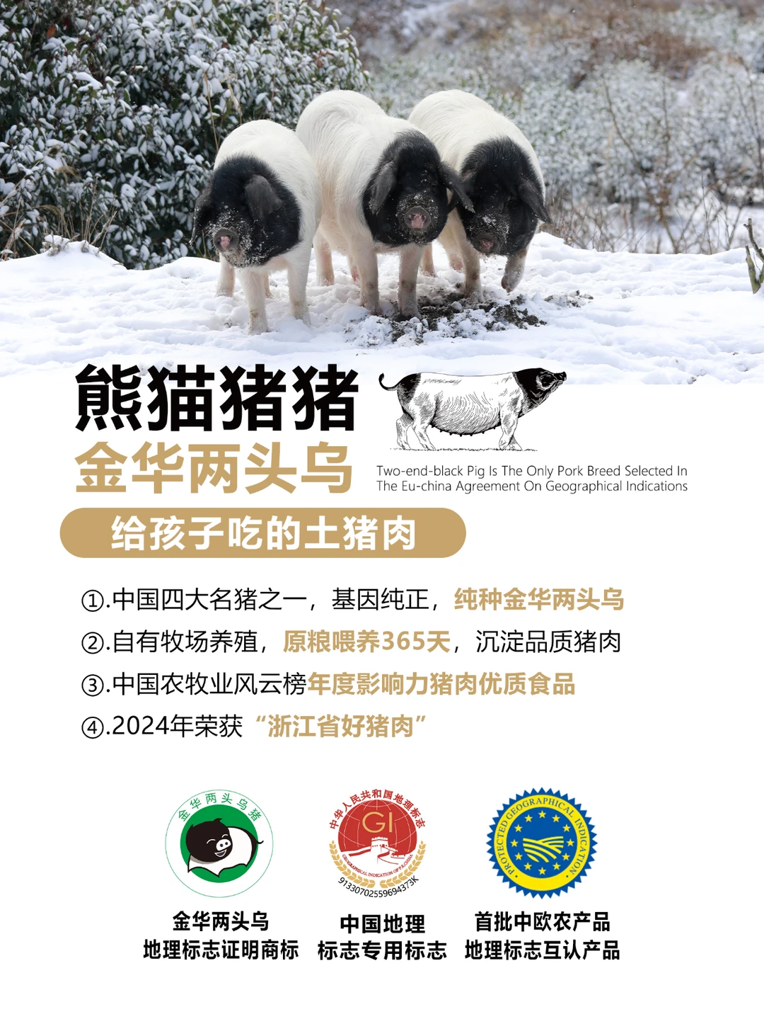 熊猫猪猪金华两头乌除了贵没毛病❗