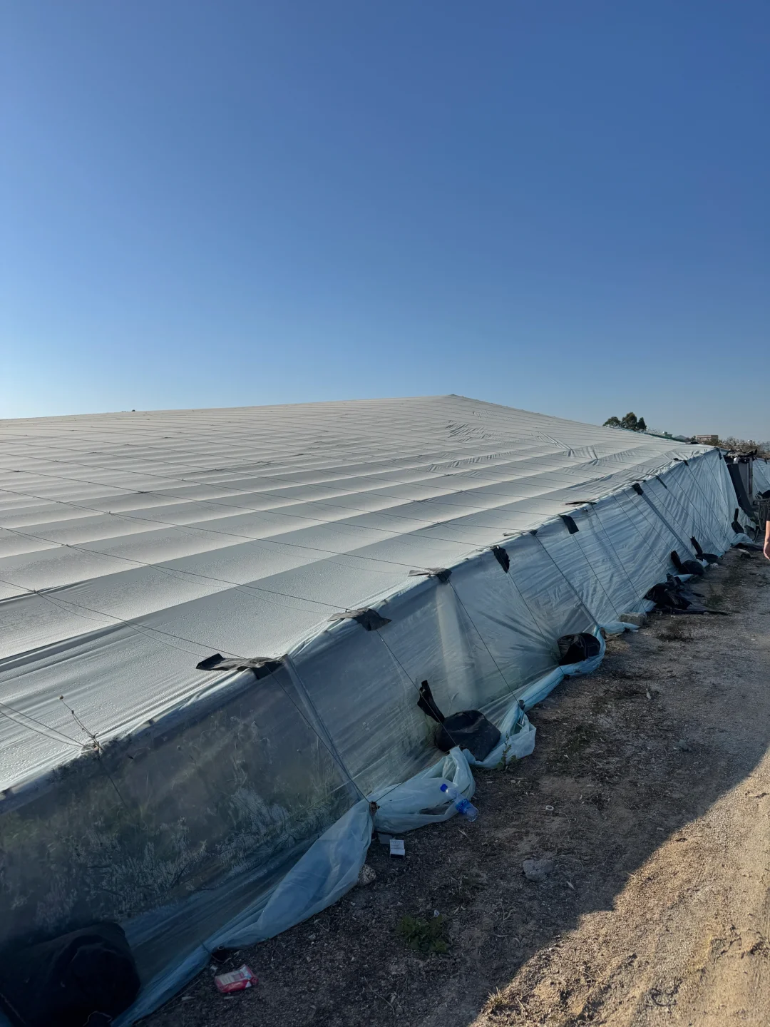 水产未来会怎么走