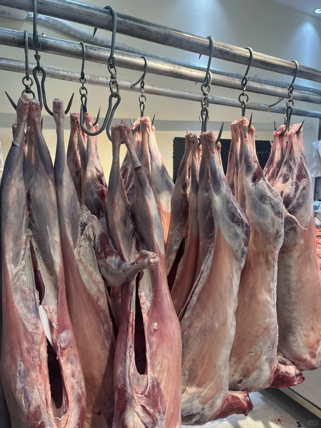 奶香味的冰碴驹俐羊最后一天发货