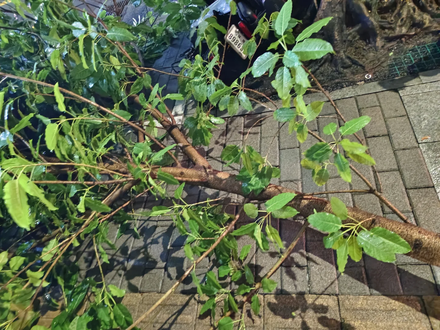 下雨差点在医院门口被砸死